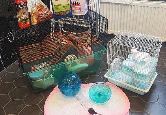 Hamsterin tarvikkeita ja häkki