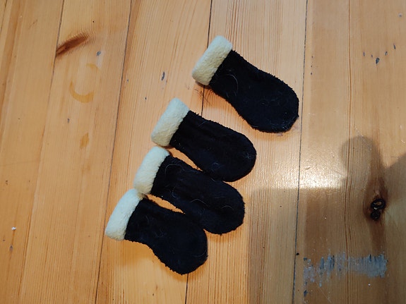 Pienen koiran tossut