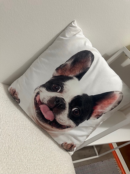 Koristetyyny koiran kuvalla🤎🐶