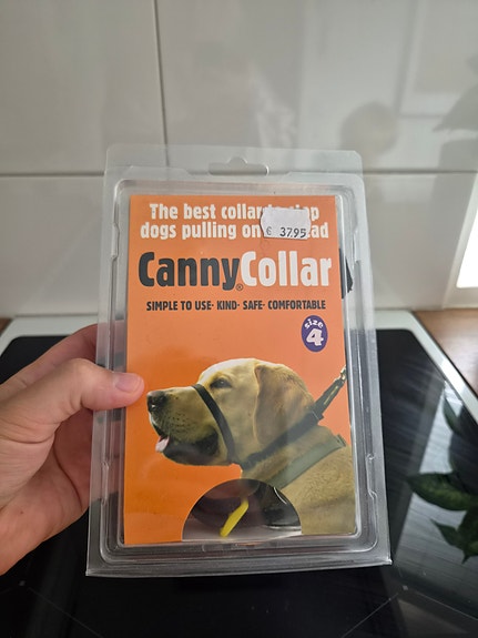 Canny collar 4