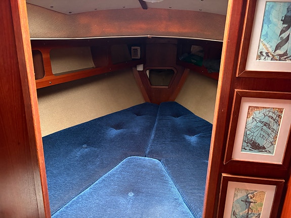 FINN 26