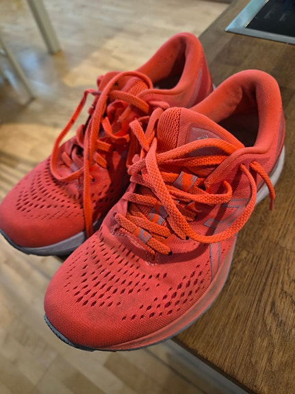 Asics Kayano