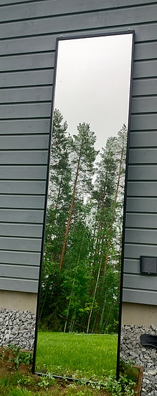 Puustellin Peililiukuovi