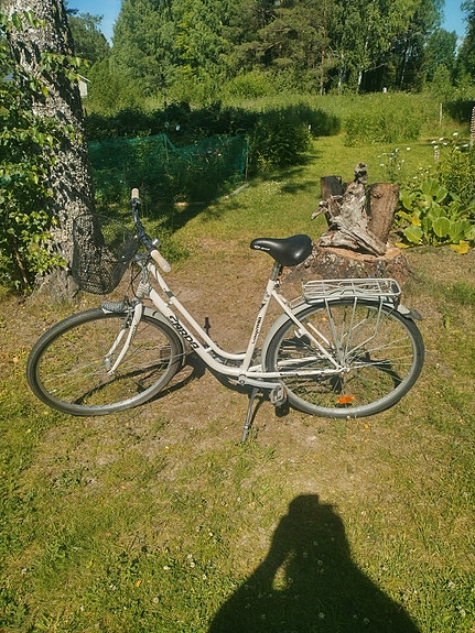 Sarda 28