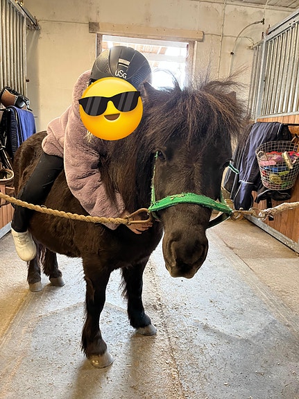 shetlanninponi tamma ja sen varsa ylläpitoon