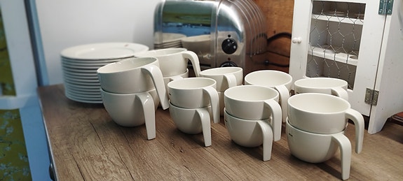 Iittala Ego