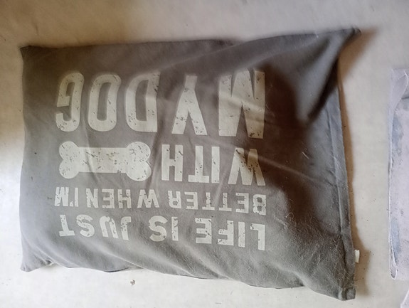 Harmaa koiran peti tekstiprintillä