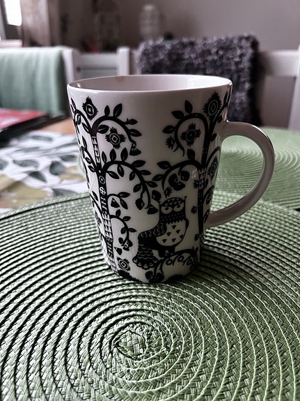 MYYDÄÄN IITTALA TAIKA MUKI MUSTA