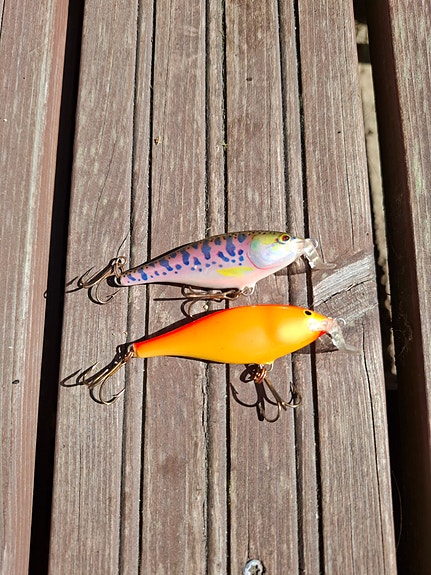 Rapala shad rap shallow 7cm