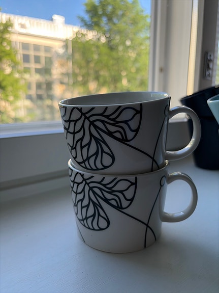 Iittala Marimekko Bottna mukit