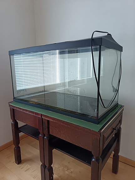 aquael 100l