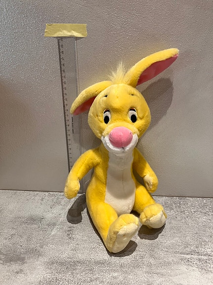Nalle Puh Kani