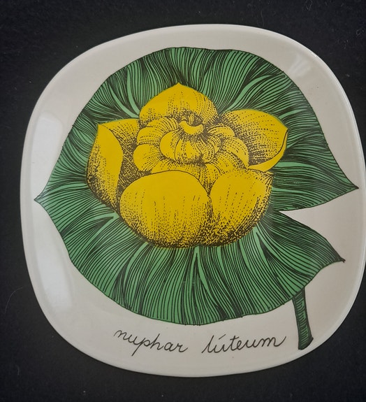 Ulpukka Esteri Tomula seinälautanen