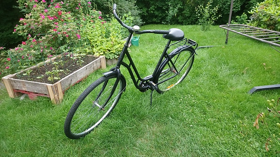 Naisten pyörä