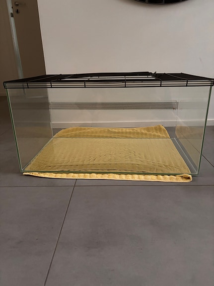 Terraario