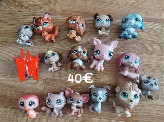 LPS setti