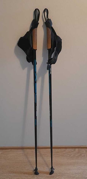 Kävelysauvat, 128 cm Exel Nordic Walker