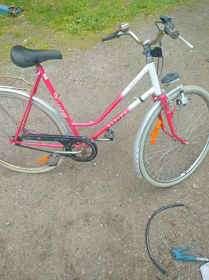 alpina naistenpyörä