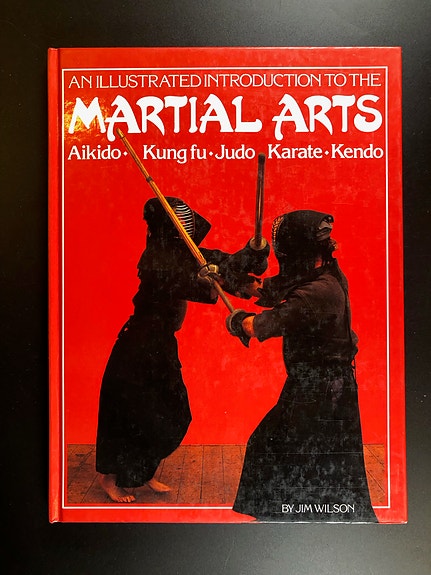 An Illustrated Introduction to Martial Arts Aikido, Kung fu, Judo, Karate, Kendo