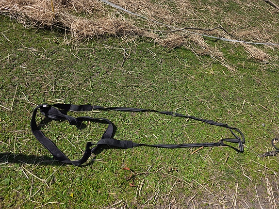 Hiihtoratsastusvaljaat cob