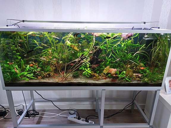 250 litrainen akvaario jalustalla