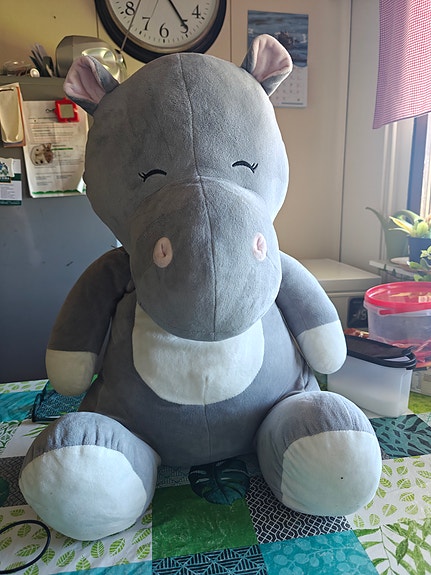 Hippo