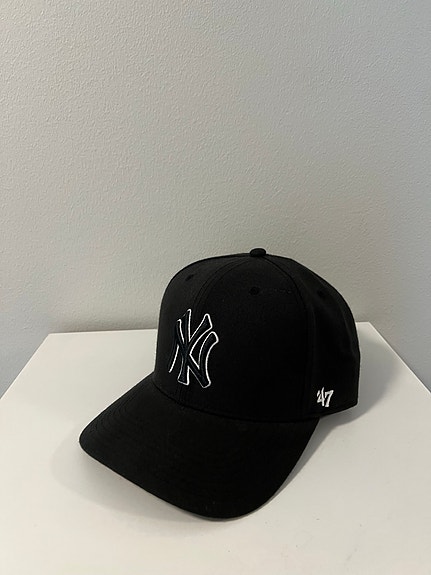 ’47 new york yankees lippis