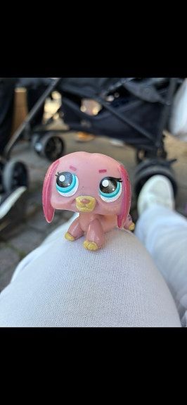 LPS mäyräkoira