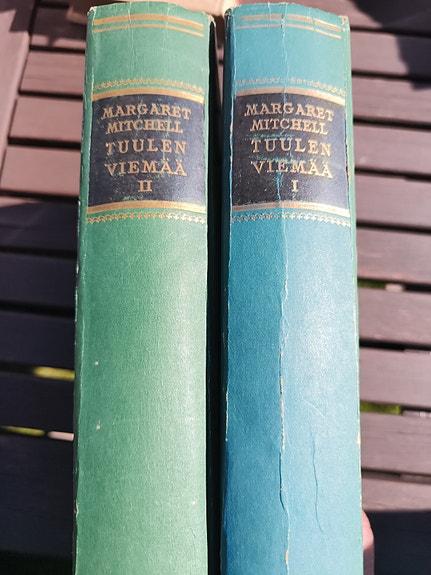 Tuulen viemää