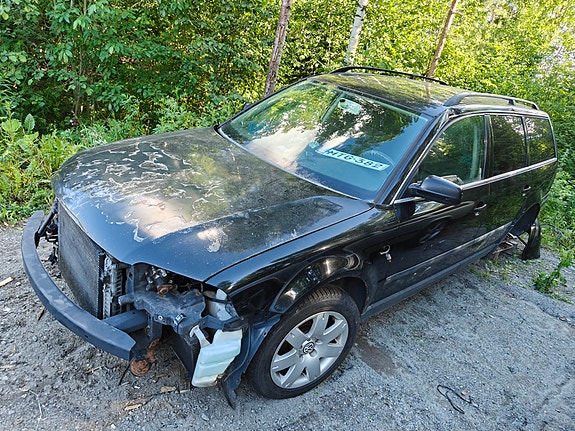 Passat 3bg osina
