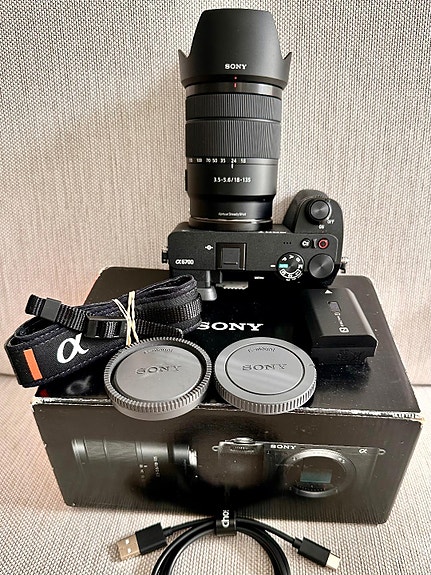 Sony A6700