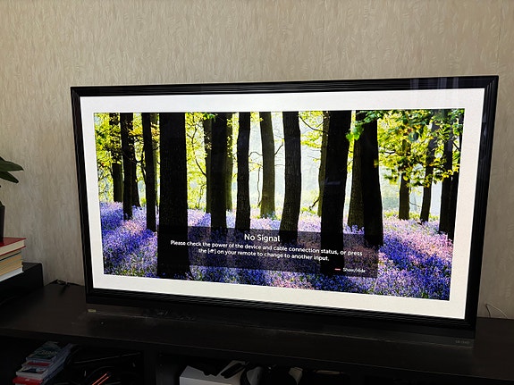 LG E9 55” OLED TV