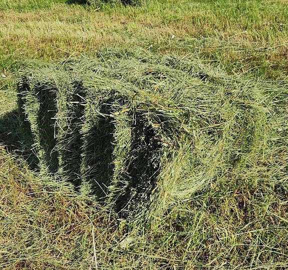 Heinää