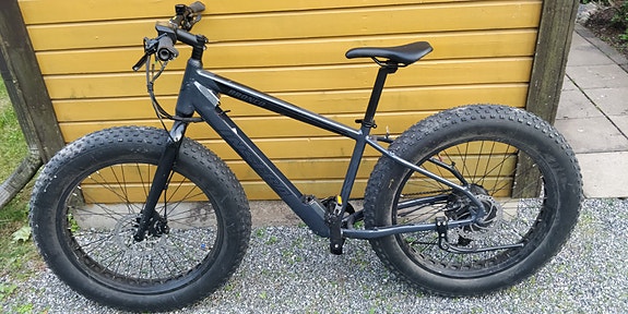 insera bronco