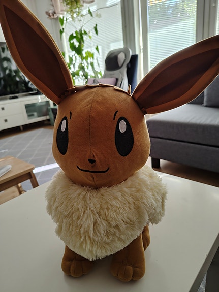 Pokemon