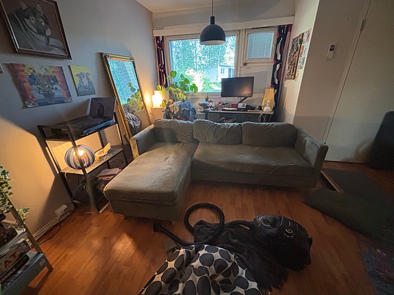 Oliivinvihreä divaanisohva