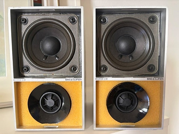 Bang & Olufsen kaiuttimet (2 kpl)