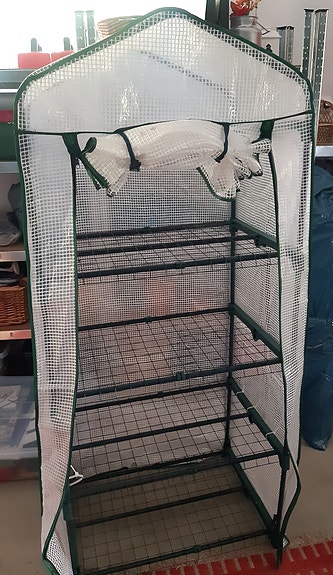 Pieni kasvihuone hyllyillä