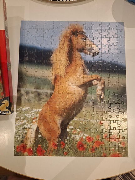 Palapeli 200 palaa hevonen