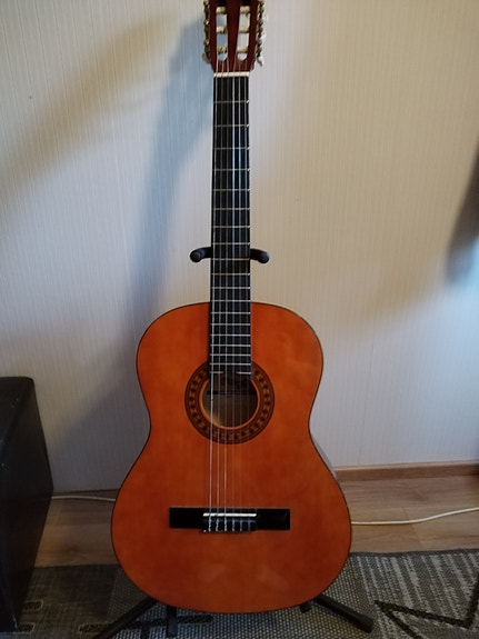 Kitara Stagg + teline