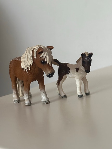 Falabella tamma ja varsa
