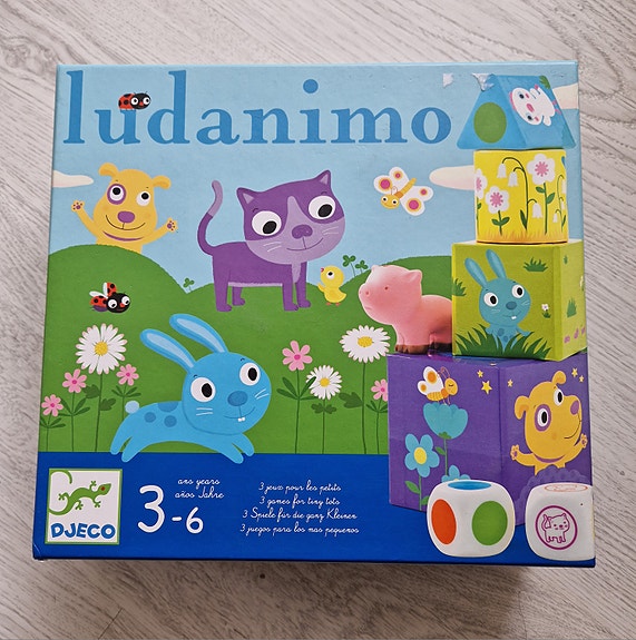 Ludanimo lasten peli