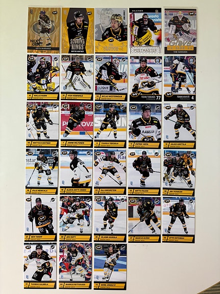 Blueline Kärpät