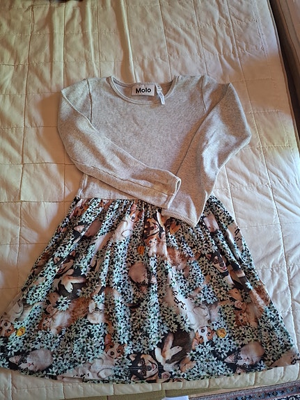 molo mekko 98104