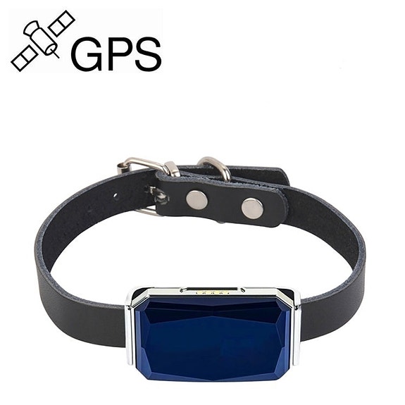 Lemmikki GPS Tracker IP67