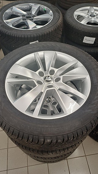 Skoda talvirengassarja