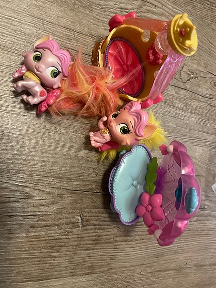 Disney palace pets