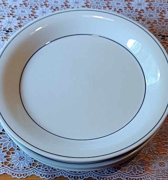 Arabia Polar ruokalautaset