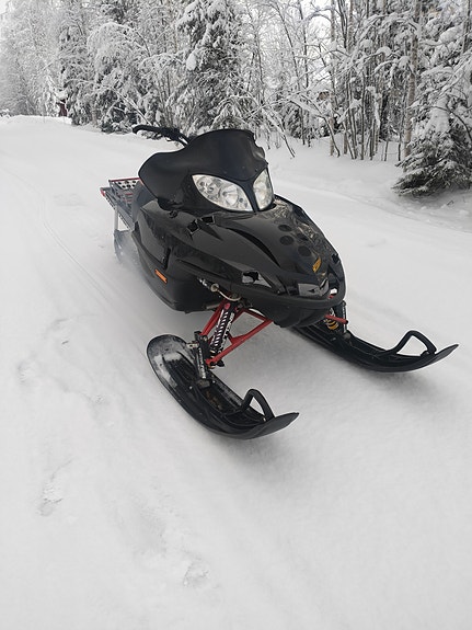 Arctic cat 600