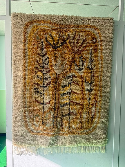 Raanu